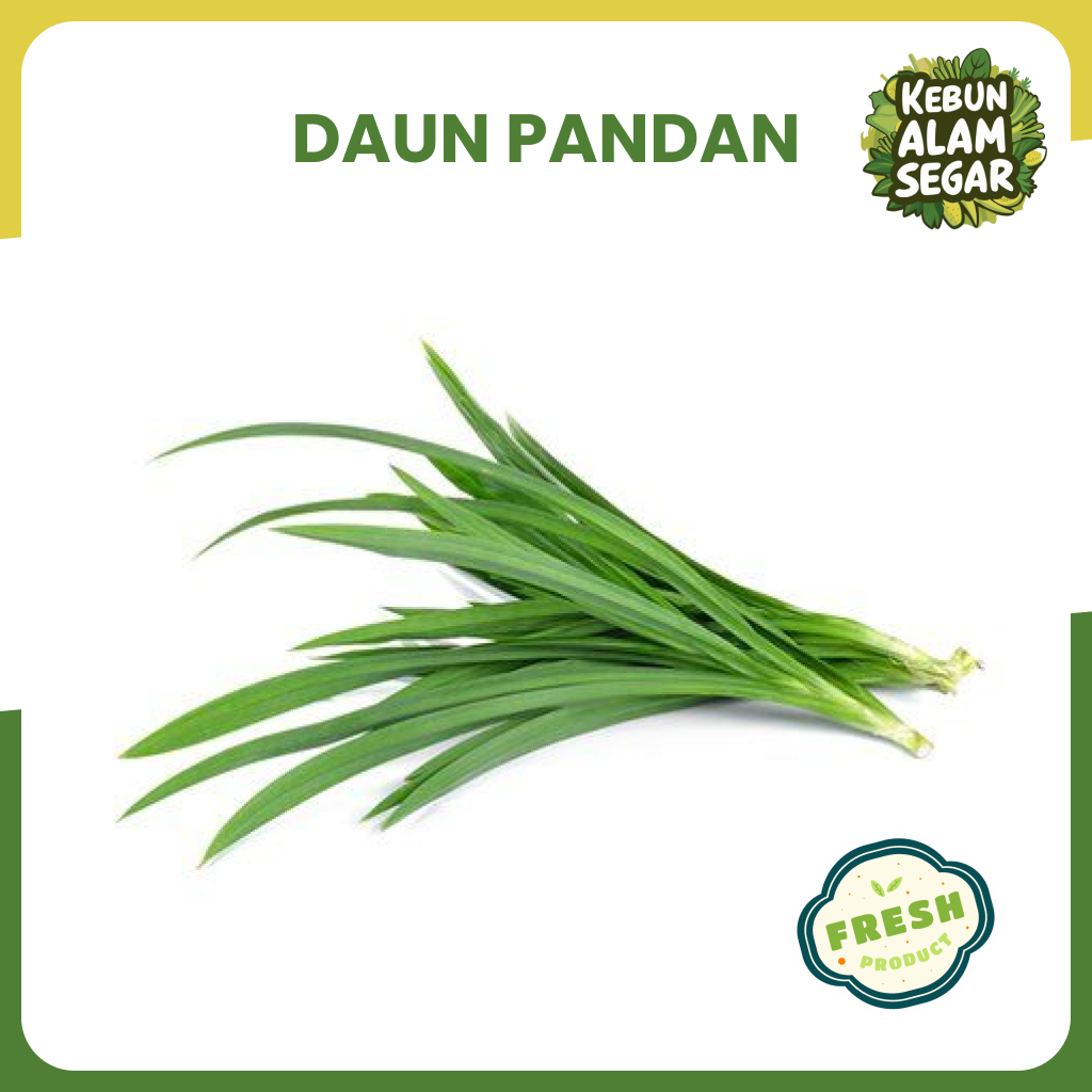 

DAUN PANDAN WANGI SEGAR 100gr Langsung dari kebun