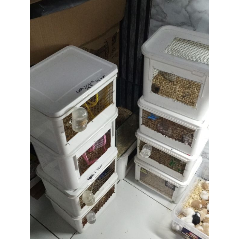 Kandang Bekas Hamster