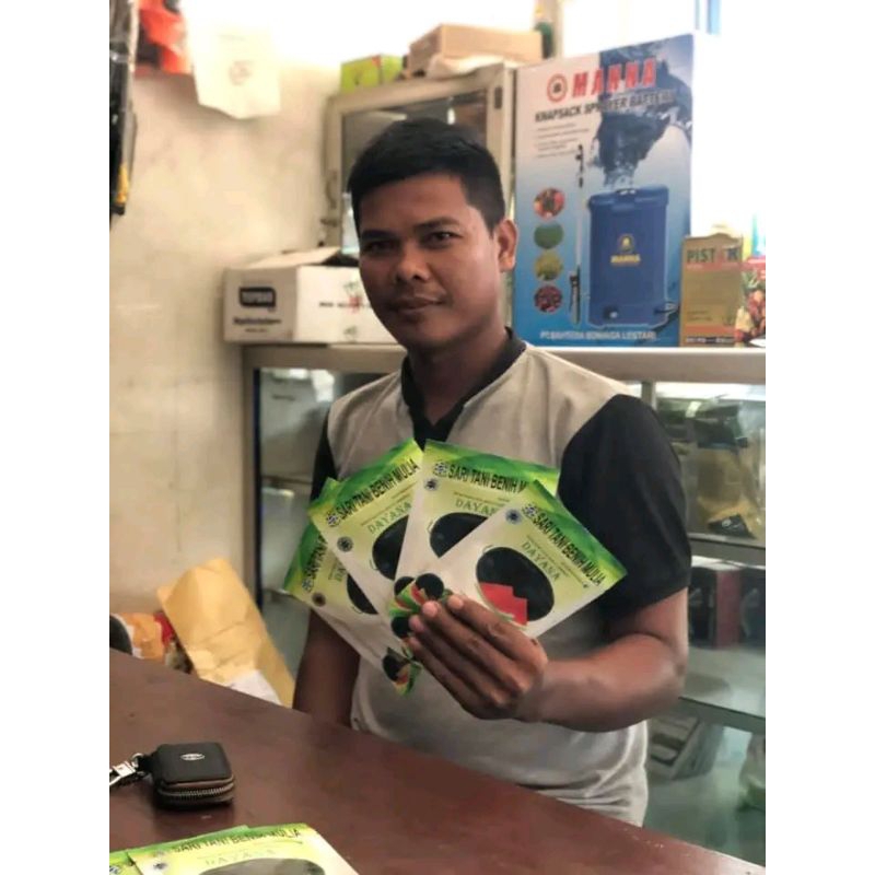 Benih Bibit Semangka Non Biji Dayana F1 Tipe  jumbo (Tahan Virus) Isi 20 Gram /300 Butir Kadaluarsa 