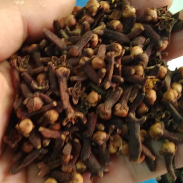 

CENGKEH ASLI PETANI TRENGGALEK SPEK PABRIK KERING +-95%