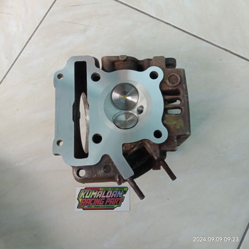Head Vega ZR 28/24 , 30/25 , 31/26 , 34/29 .