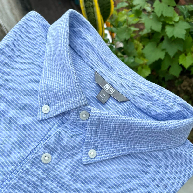 Polo Shirt UNIQLO Button Down Striped Baby Blue (XXL)