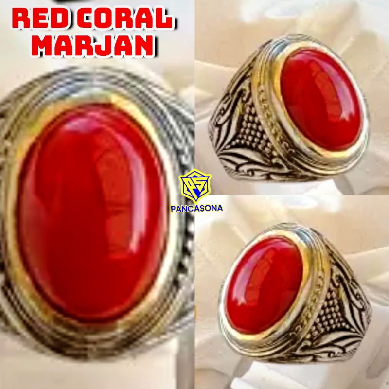 RED MARJAN _ RED CORAL MARJAN