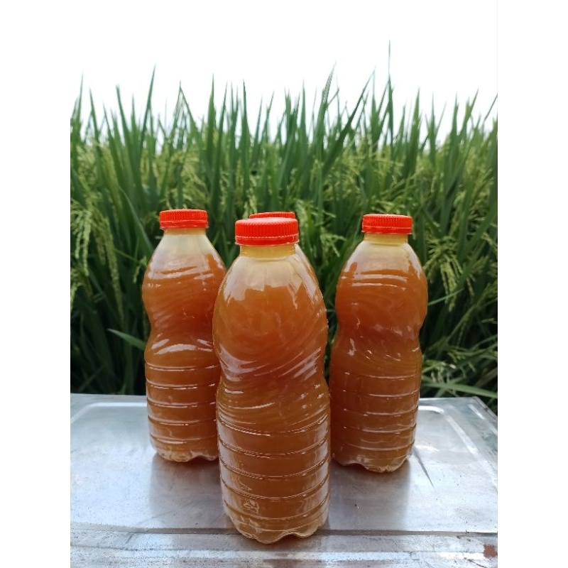 

Lem Botolan Kuning 220ml /Lem Kuning Super/Lem Kuning Serbaguna Terlaris Termurah