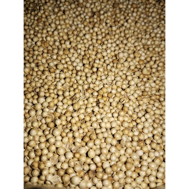 

KETUMBAR PREMIUM 1KG (BUMBU MASAK DAN REMPAH KESEHATAN)