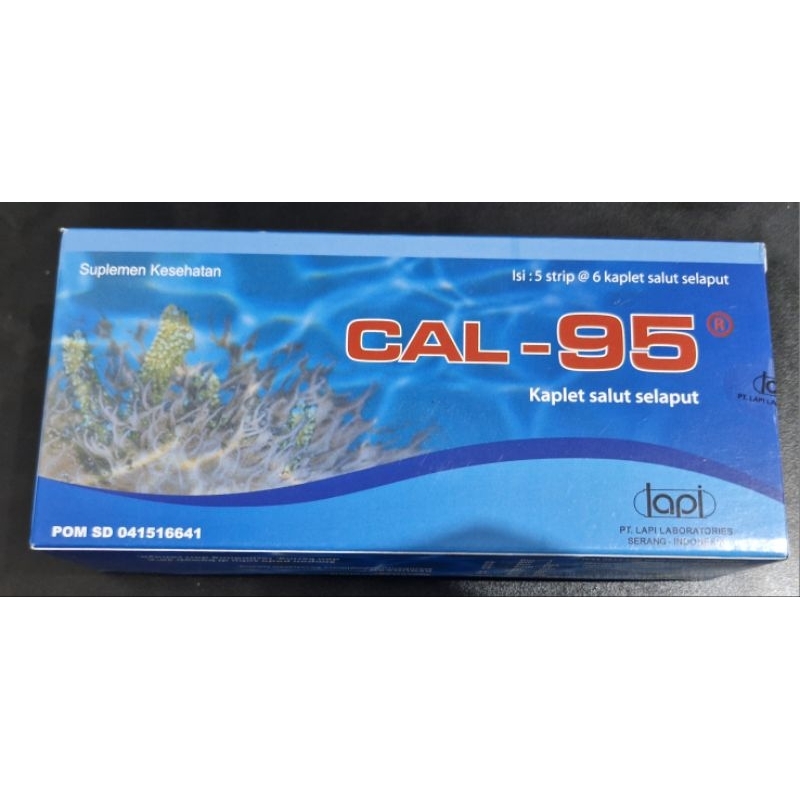 CAL 95 BOX - kalsium untuk ibu hamil dan lansia