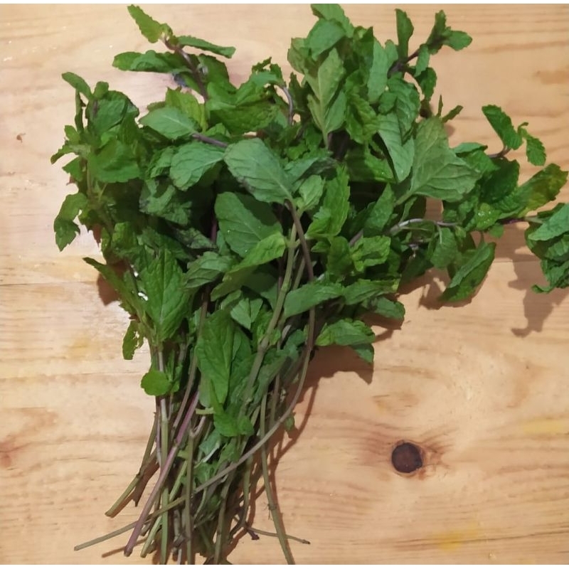 

Daun Mint