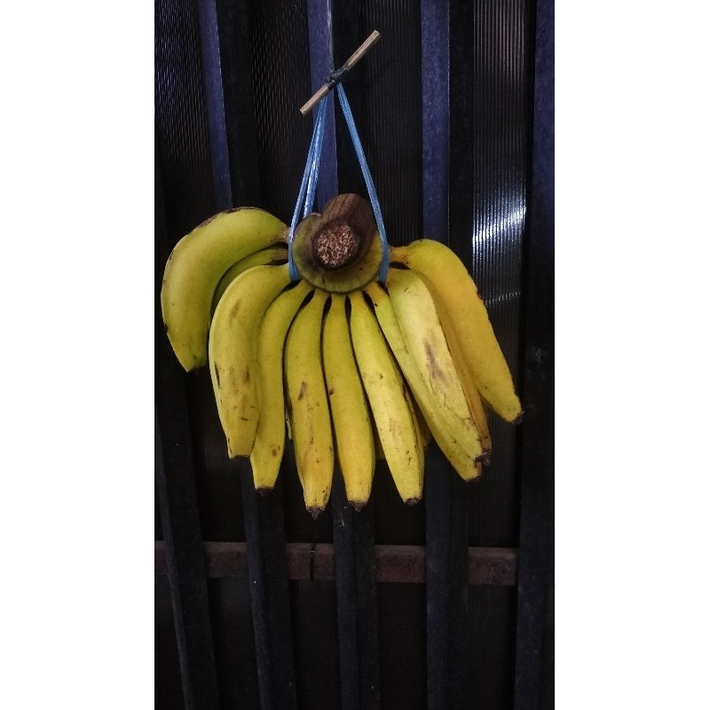 

Pisang Ambon Fresh 1 Sisir Ukuran Sedang
