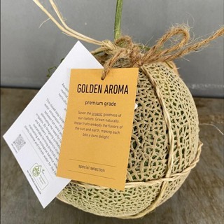 

Melon Aroma Organik BSP FARM