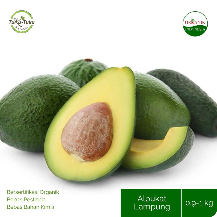

BUAH ALPUKAT LAMPUNG QV 900-1000GR