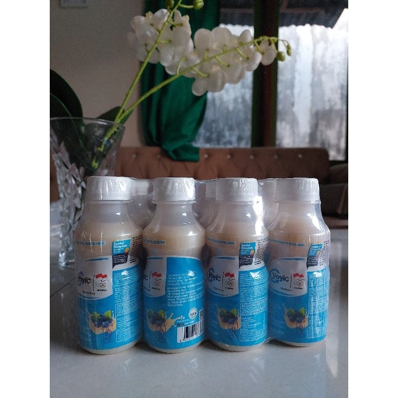 

Yoyic Yogurt minuman susu fermentasi