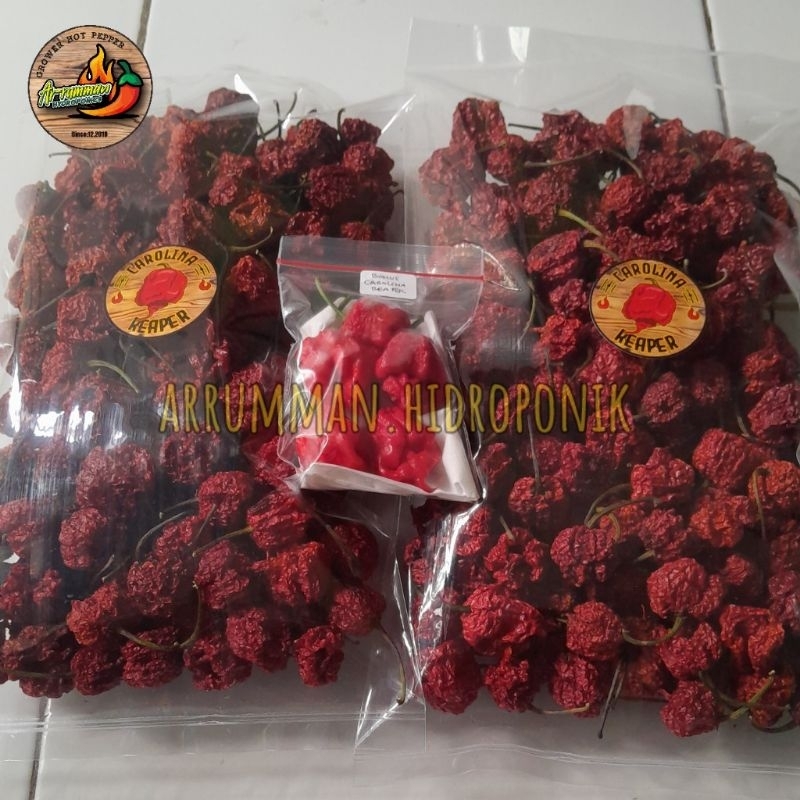 

Cabe Kering Carolina Reaper Buah Utuh isi 250 gram