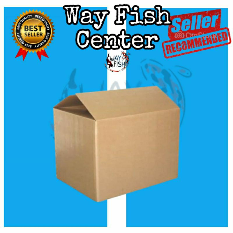 

Packing Extra Box: Wajib untuk Pengiriman Reguler