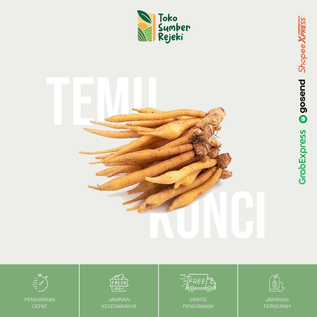 

Temu Kunci Rempah - Toko Sumber Rejeki Yogyakarta