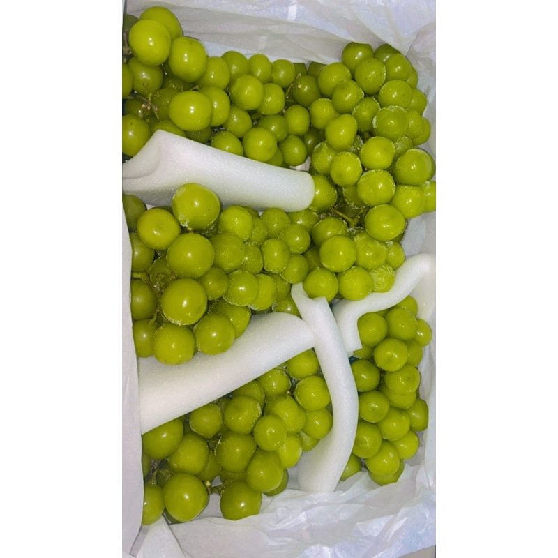 

ANGGUR HIJAU MUSCAT TANPA BIJI FRESHHH PERPACKNYA