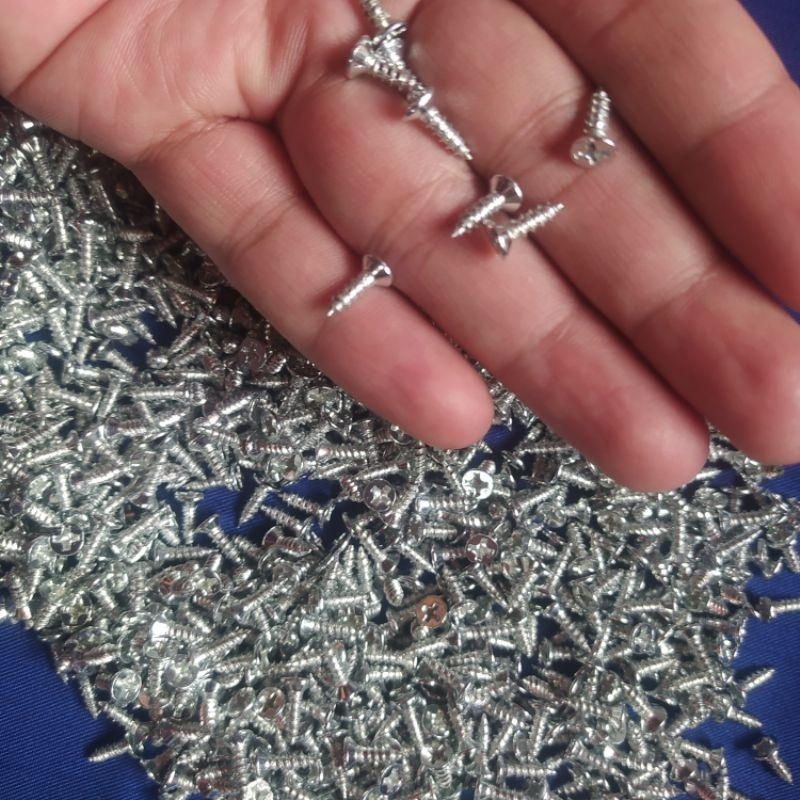1.000 pcs sekrup skrup baud baut mini kecil panjang 10 mm