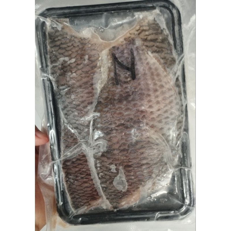 

Ikan Nila Fillet 250g