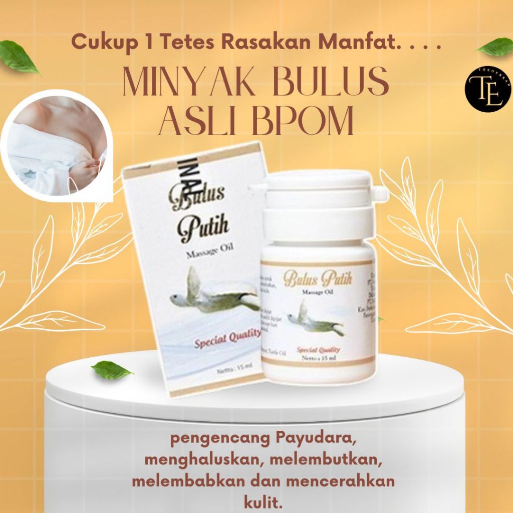 [BPOM] Bulus Putih Massage Oil / Minyak Bulus BPOM Original