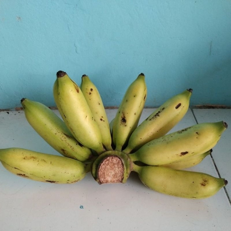 

pisangmuli
