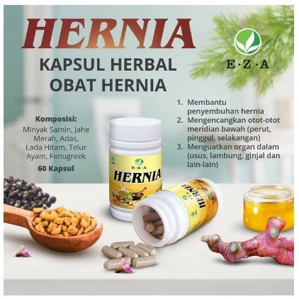 Herbal Hernia Obat Hernia