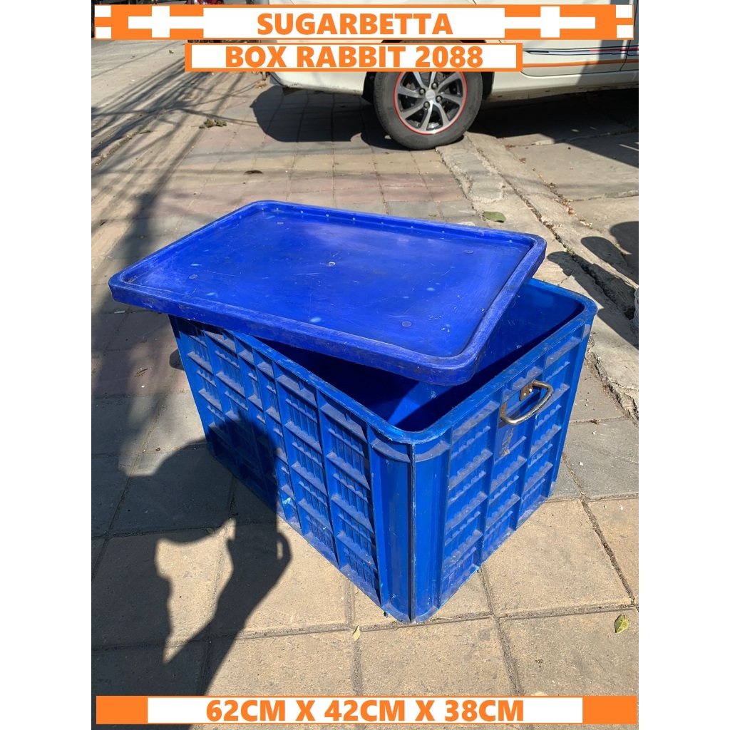 BOX RABBIT CONTAINER 2088 TANPA TUTUP RABBIT