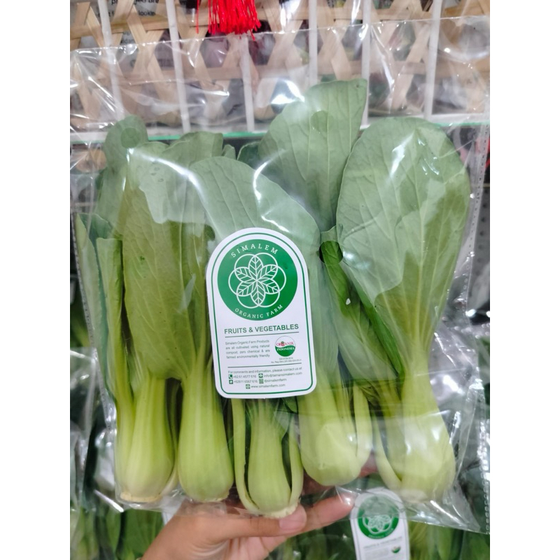 

PAKCHOI SEGAR ORGANIK SEHAT