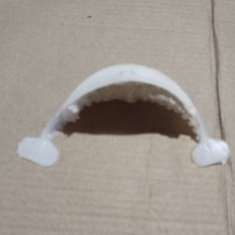 Sarang burung walet palsu