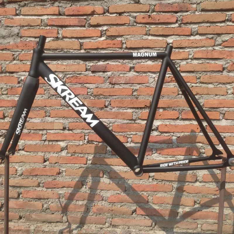 frame set skream custom