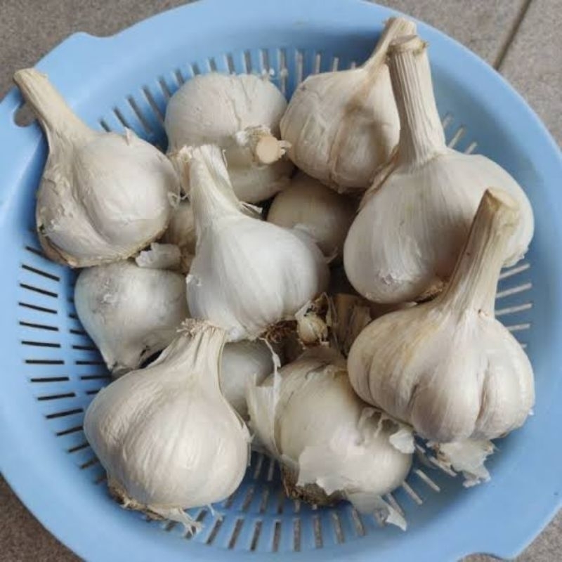 

Bawang putih kating 500gr