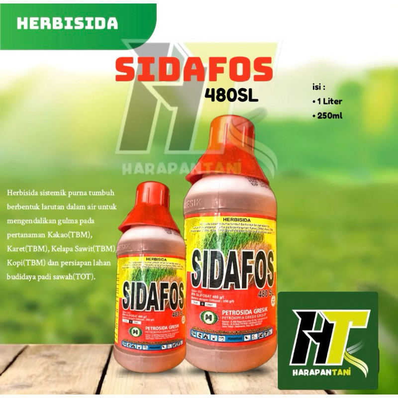 Seleratani - SIDAFOS | HERBISIDA | RACUN RUMPUT | PEMBASMI RUMPUT