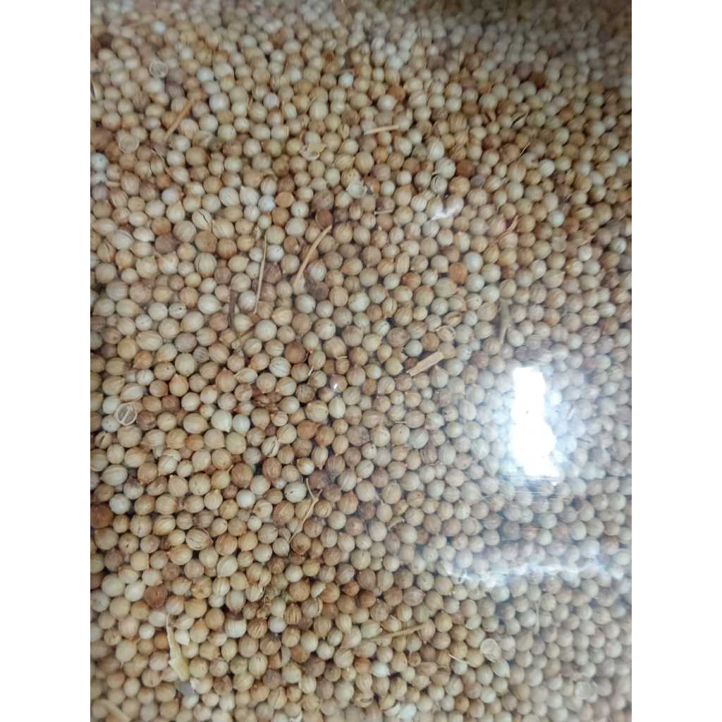 

Biji KETUMBAR ASLI Super 10 KG Tanpa Campuran