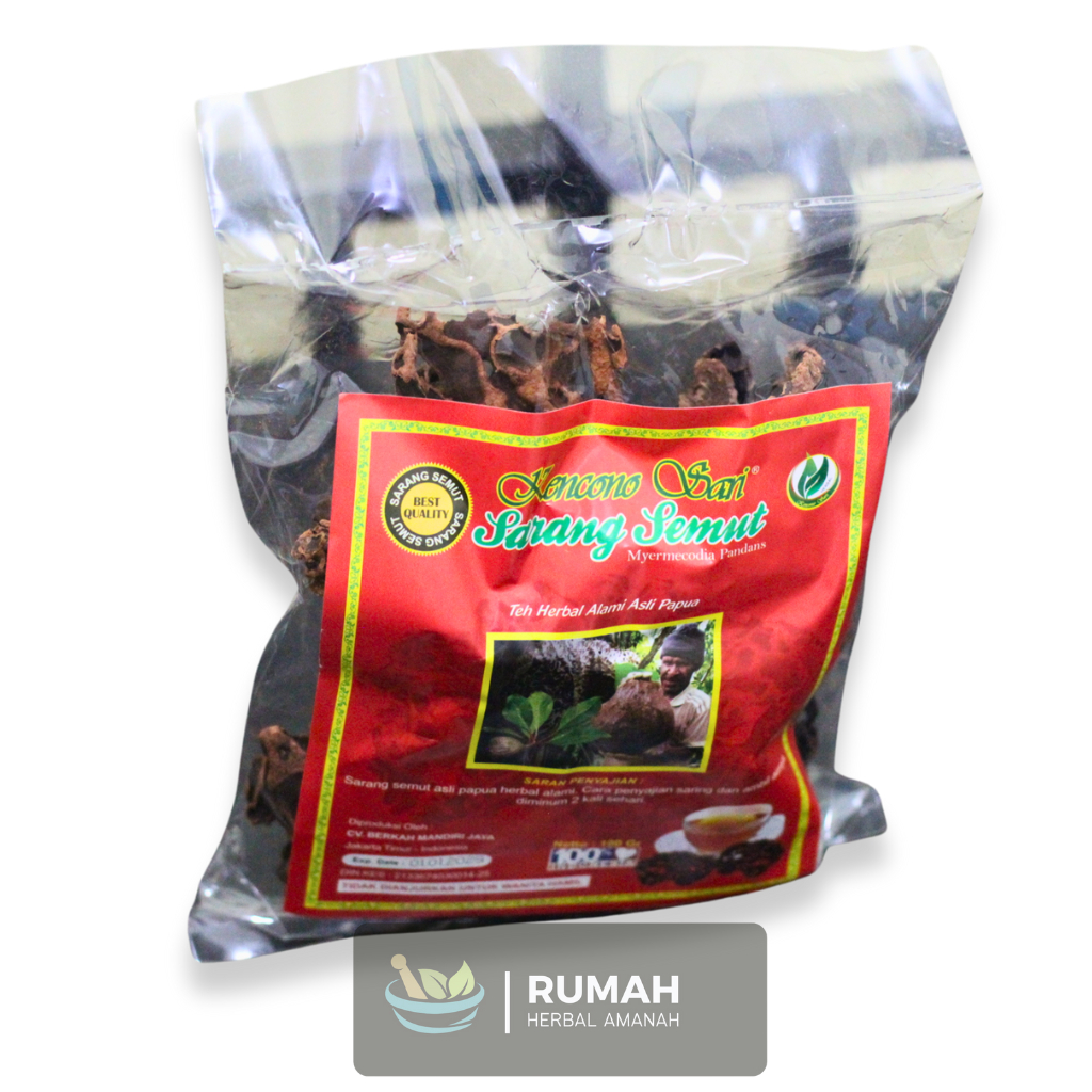 

Teh Sarang Semut Curah Herbal Asli Original Papua Dijamin Asli
