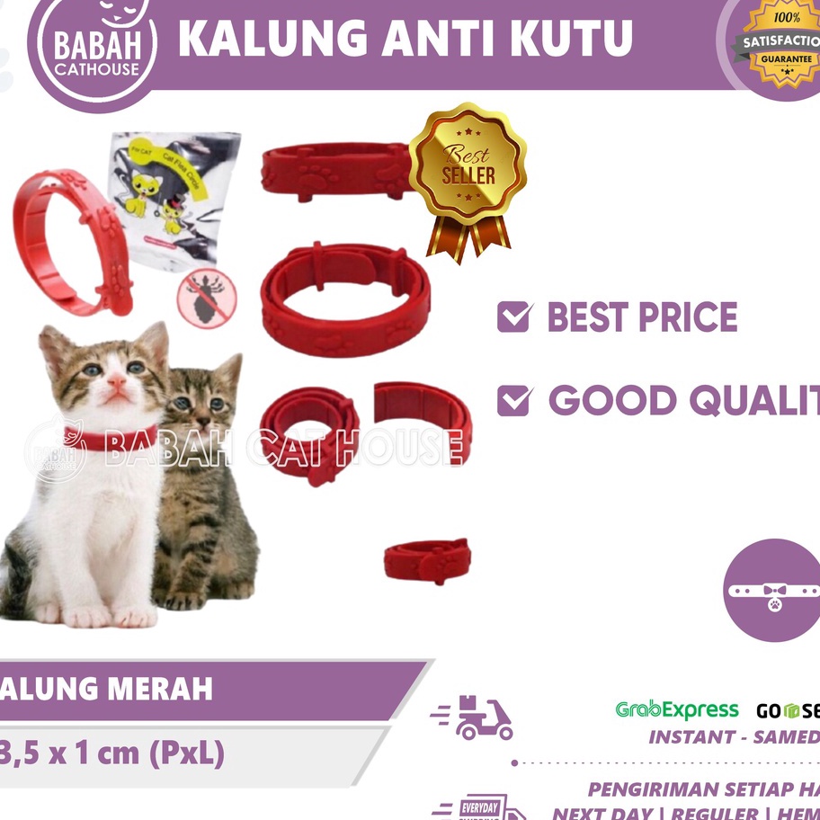 KALUNG MERAH ANTI KUTU Kucing Anjing Murah Lucu Untuk Kitten Aksesoris Bagus Keren Import Dan Nyamuk