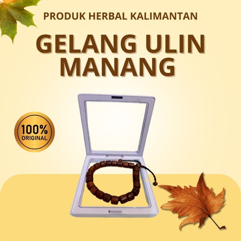 Gelang Ulin Manang atau Ulin Timbul | Mengambang di Air