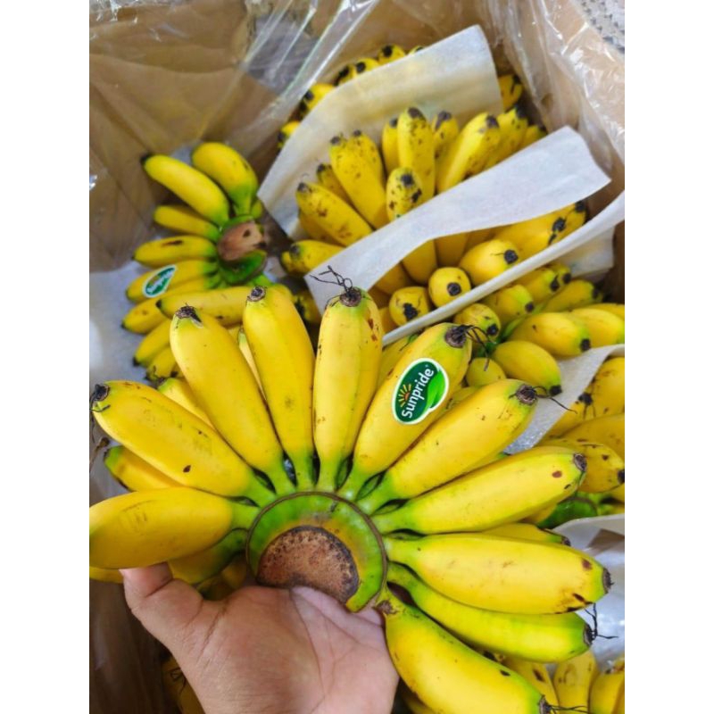 

PISANG MAS SUPER SUNPRIDE 1KG