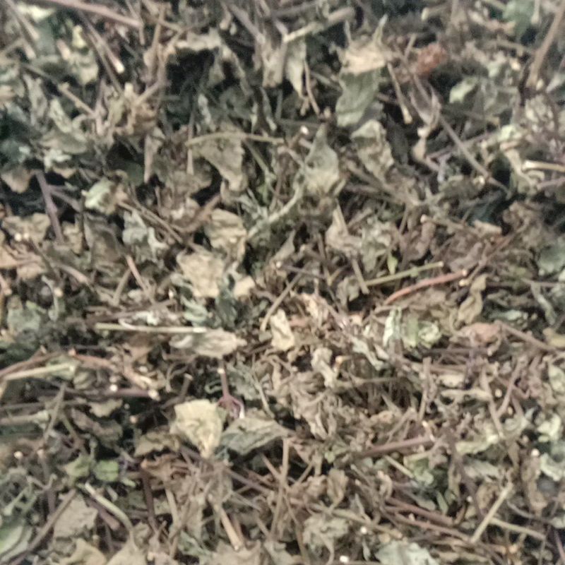 

daun kumis kucing kering 115gr alami