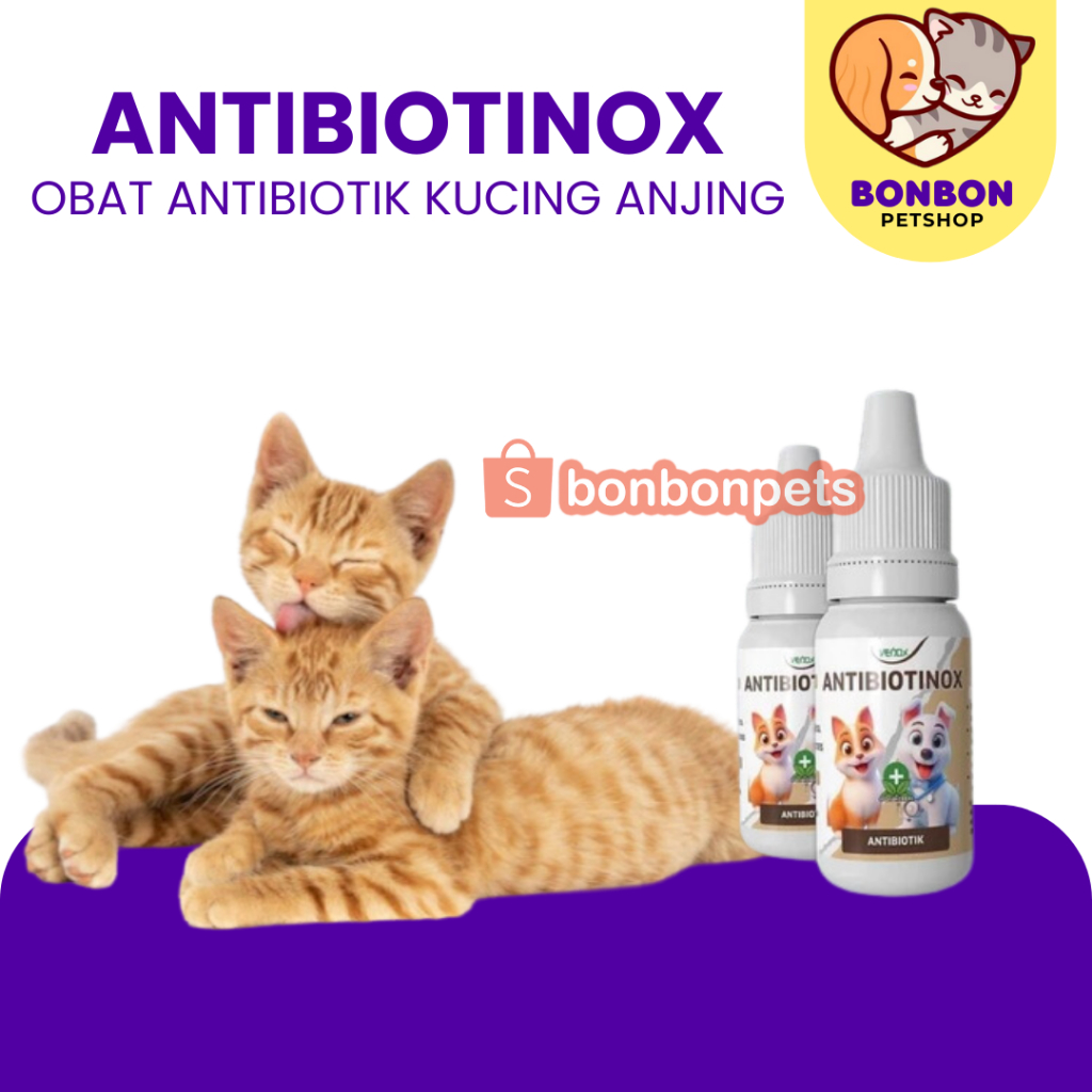 Antibiotinox Obat Antibiotik Venox Mencegah Virus Jamur Bakteri Kucing Anjing Virus Infeksi Bakteri