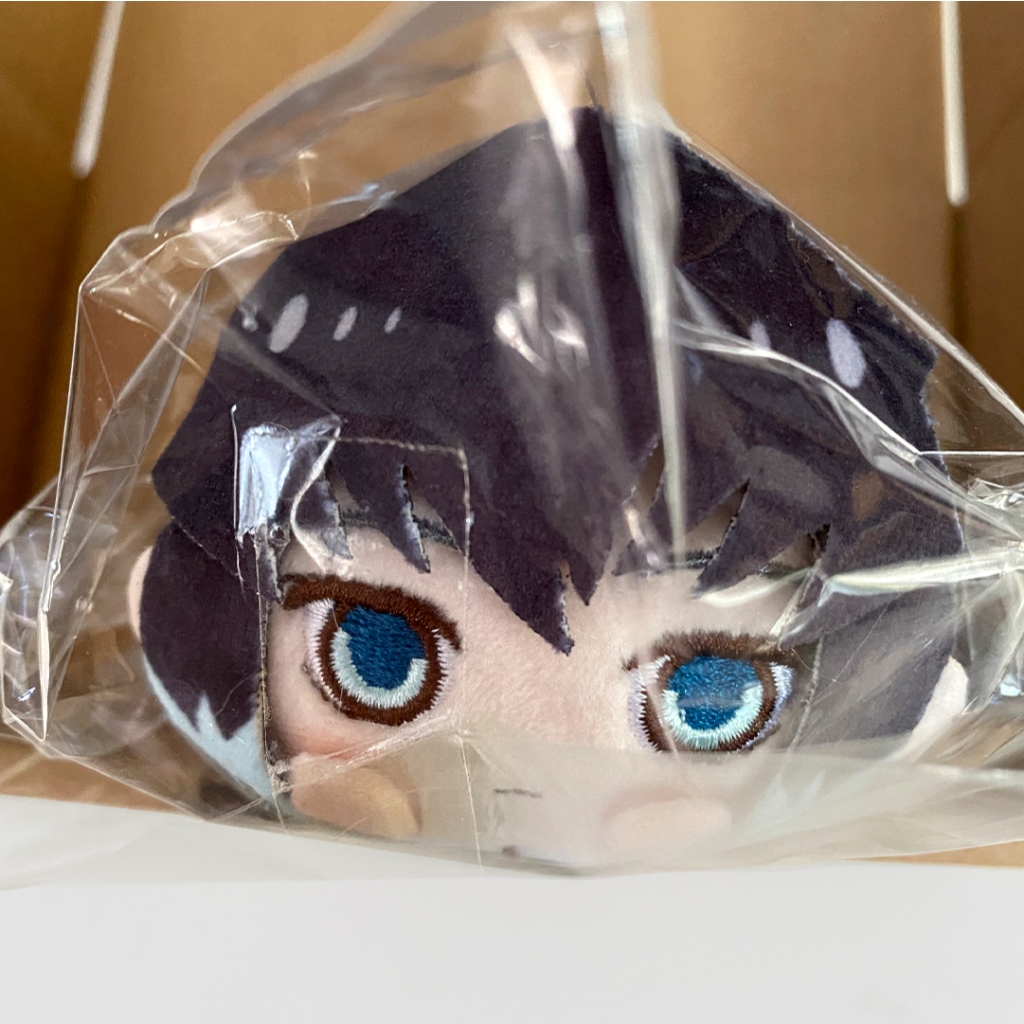 Kimetsu no Yaiba Mochikororin Hashira Ver. - Muichiro