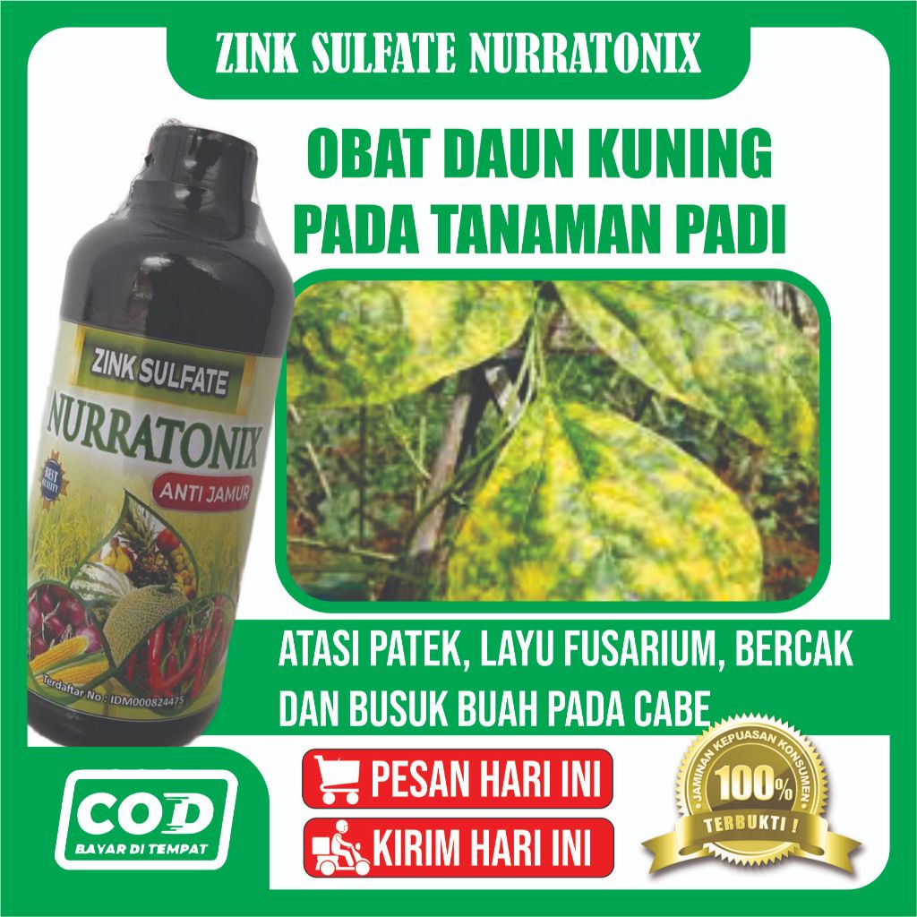 (TOP SELLER) Obat Hama Virus Kuning/Gemini Kacang Panjang, Pupuk Hama Virus Kuning/Gemini Kacang Pan