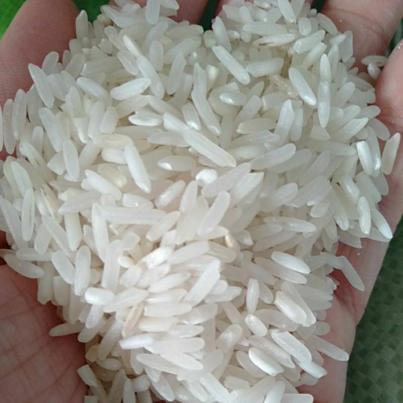 

Beras bakti 1000 gram