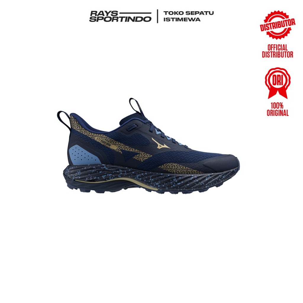 SEPATU RUNNING MIZUNO WAVE RIDER TT 2