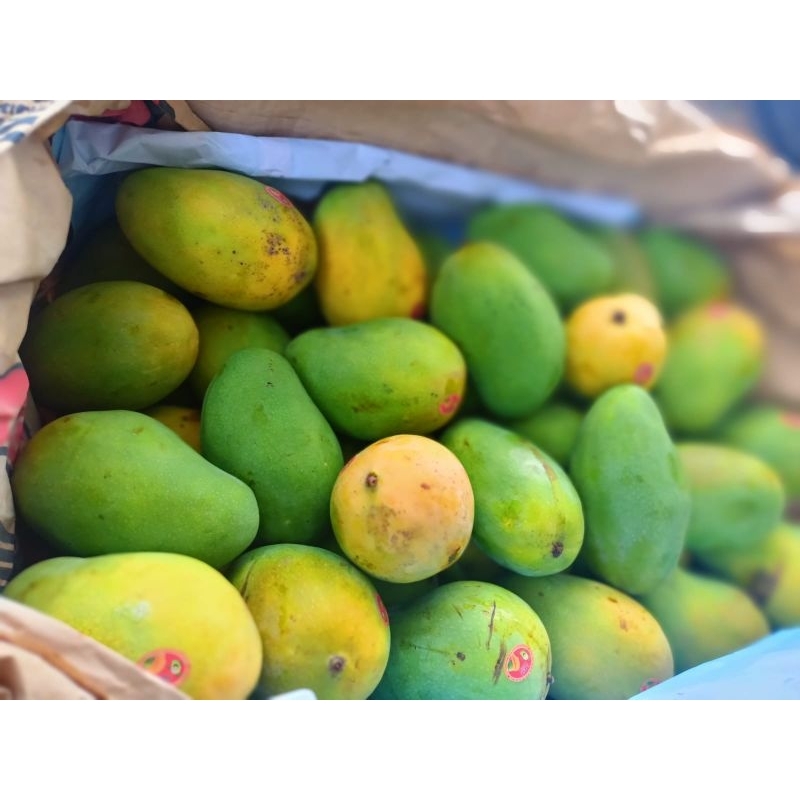 

Mangga Harum Manis