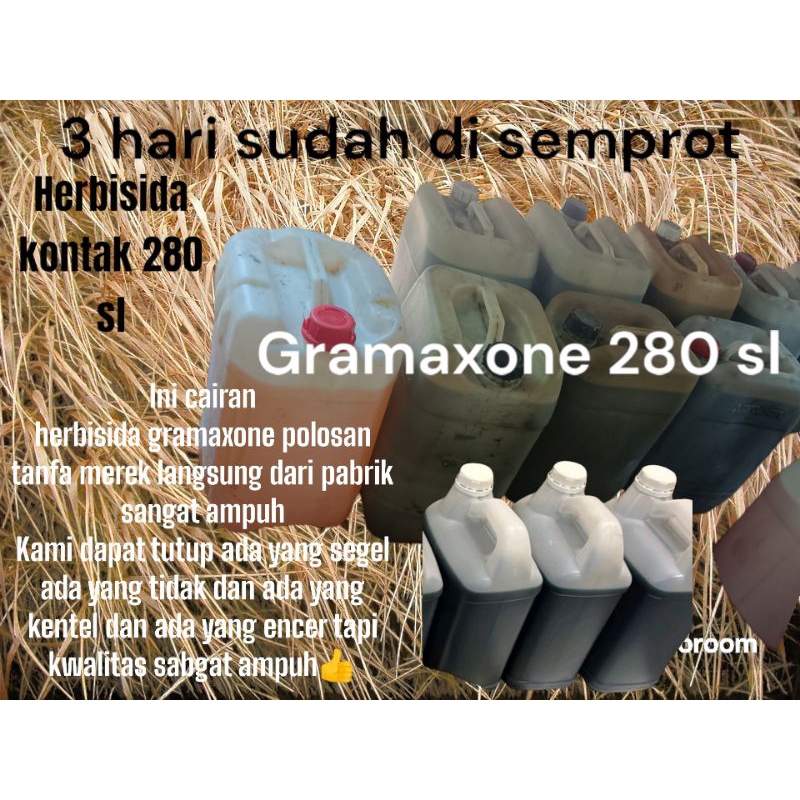 Herbisida gramaxone Kontak  cairan Pembasmi Rumput  20 liter  Kontak 300 SL Termurah