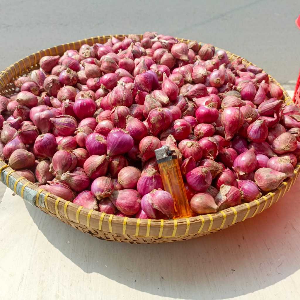 

BAWANG MERAH BREBES SUPER/PILIHAN 1kg