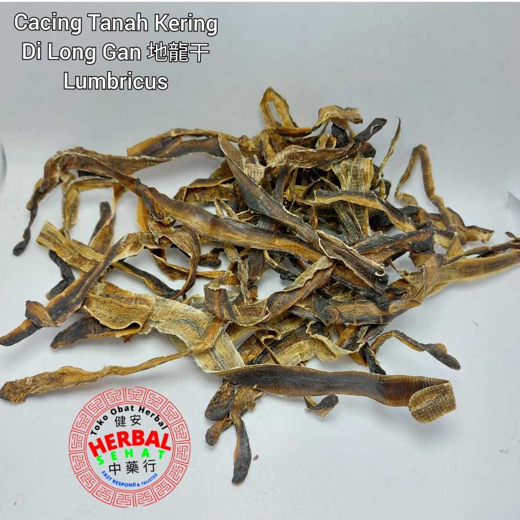 Cacing Tanah Kering - Bubuk - Di Long Gan - Lumbricus Rubellus / Dilong / Obat Tipes