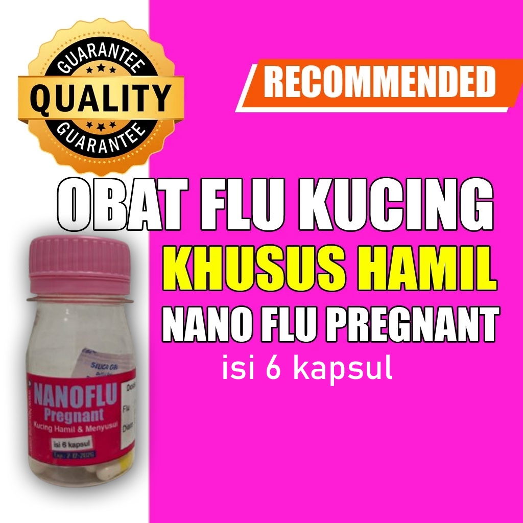 NANOFLU Pregnant obat flu kucing KHUSUS kucing hamil paten dan aman untuk janin