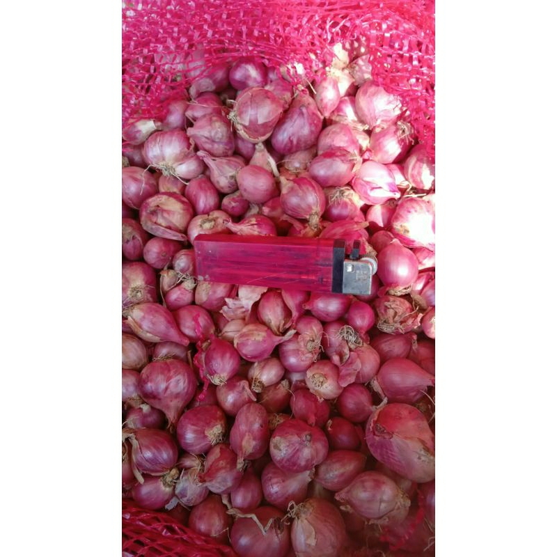 

Brambang Tanggung Mix Super