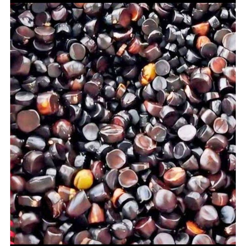 kabau atau jolang jaling asli Sumatra per 1kg