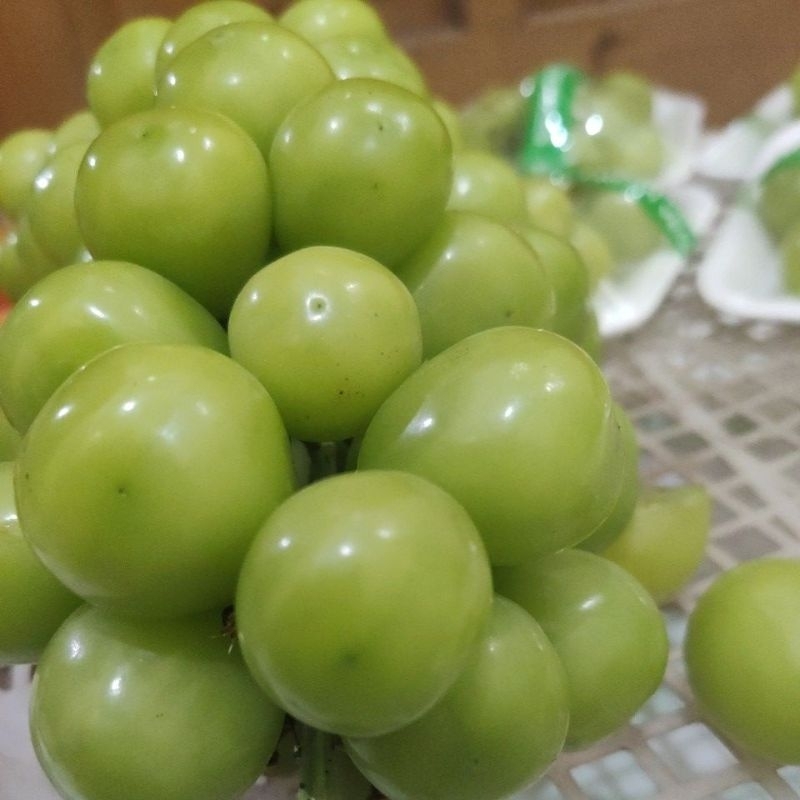 

BUAH ANGGUR HIJAU 1kg