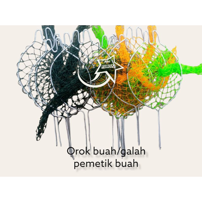 pemetik buah mangga/galah petik buah/0rok orok buah